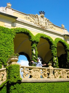 IMG_8718   