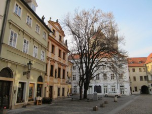 IMG_0217      