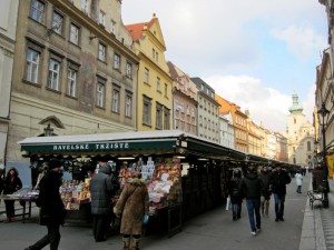 IMG_0239       