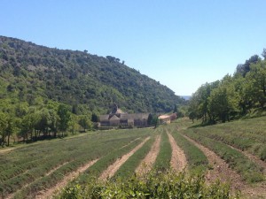 IMG_4169                    