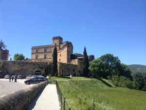 IMG_4213                             
