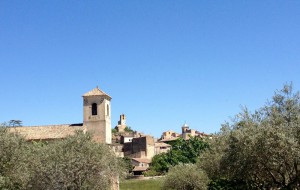 IMG_4230                                