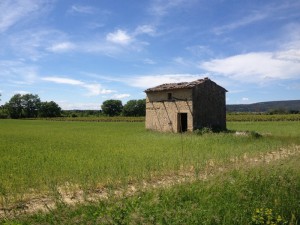 IMG_4297                                                 