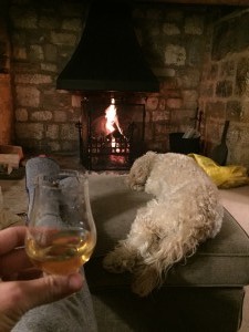 Fire, whisky, dog